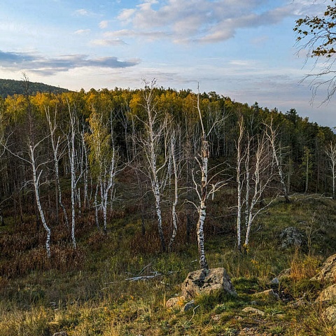 Миасс